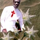 ALEX TOE- il giglio del deserto