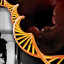 Bioethics-Press-Release