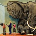 elefante-stanza-amianto