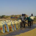 45748601_2246707342251561_3955649946014711808_o