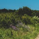 pieghevole_casa-dei-sentieri-1