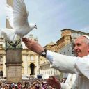 copertina pace francesco