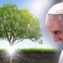 preghiera_creato_papa_francesco