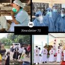 NEWSLETTER CAMILLIANA