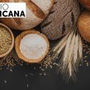 radio vaticana podcast