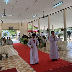 image_50420225