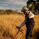 Un uomo di spalle con un cappello in testa sta lavorando in piedi in un campo di grano. L'uomo ha un vestito marrone e una camicia bianca. Sullo sfondo c'è il cielo nuvoloso e degli alberi verdi